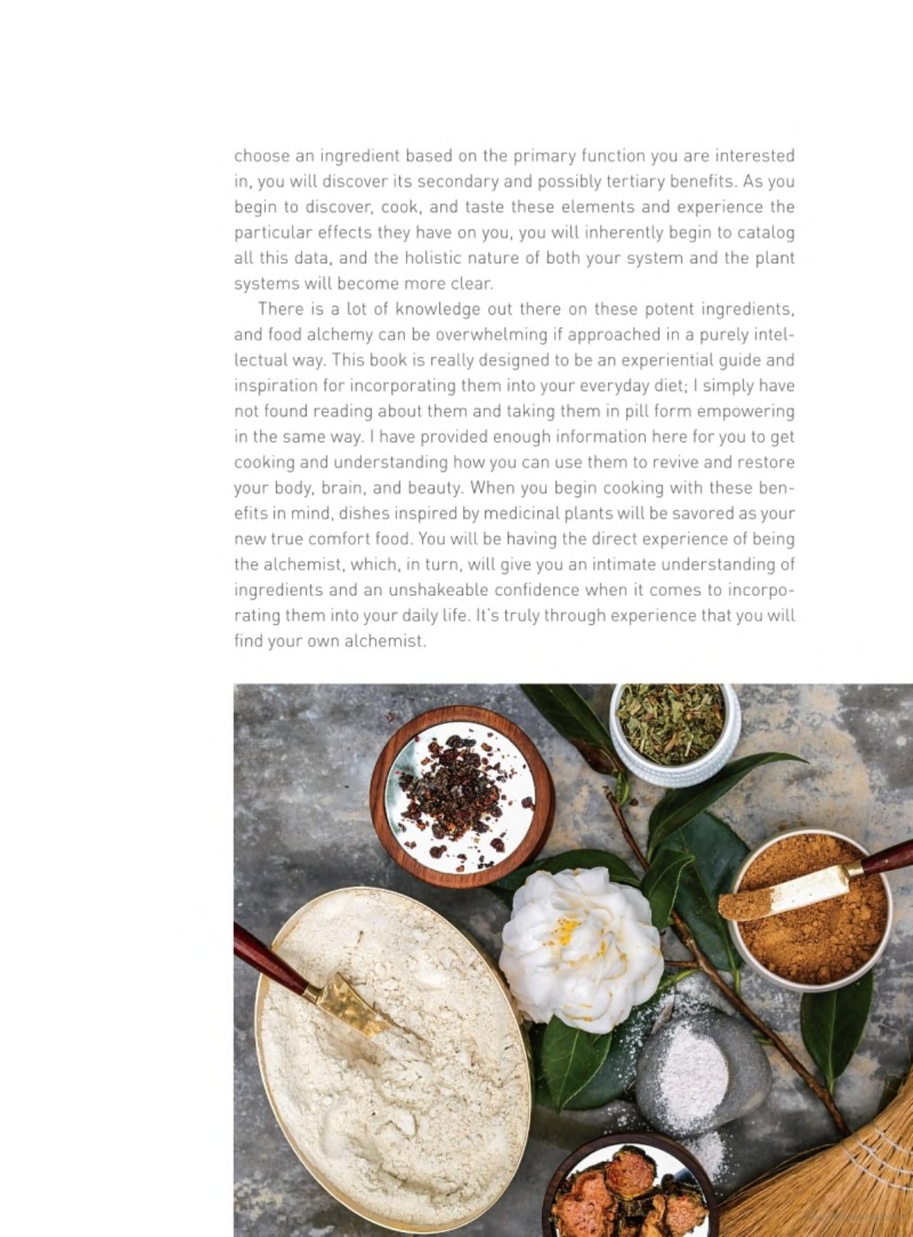 Moon Juice Cookbook By Amanda chantal bacon