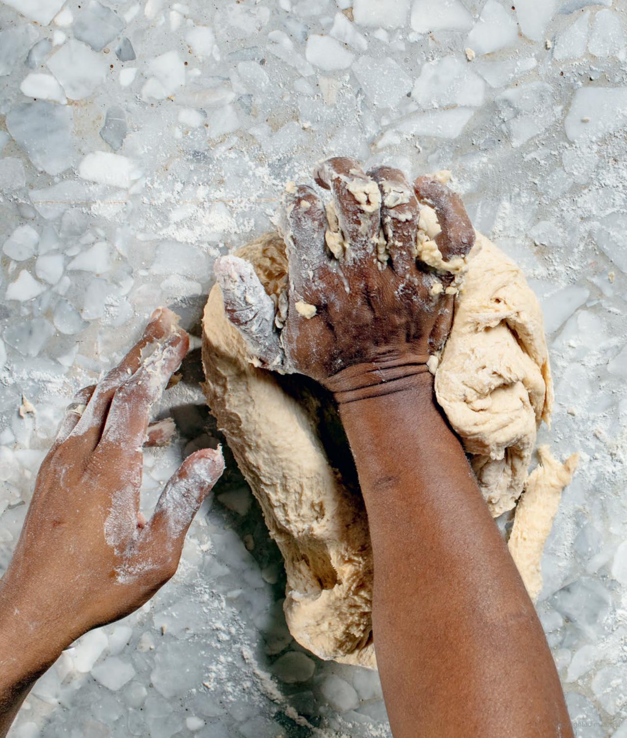 New World sourdough Artisan Techniques for Creative Homemade Fermented Breads By Bryan Ford
