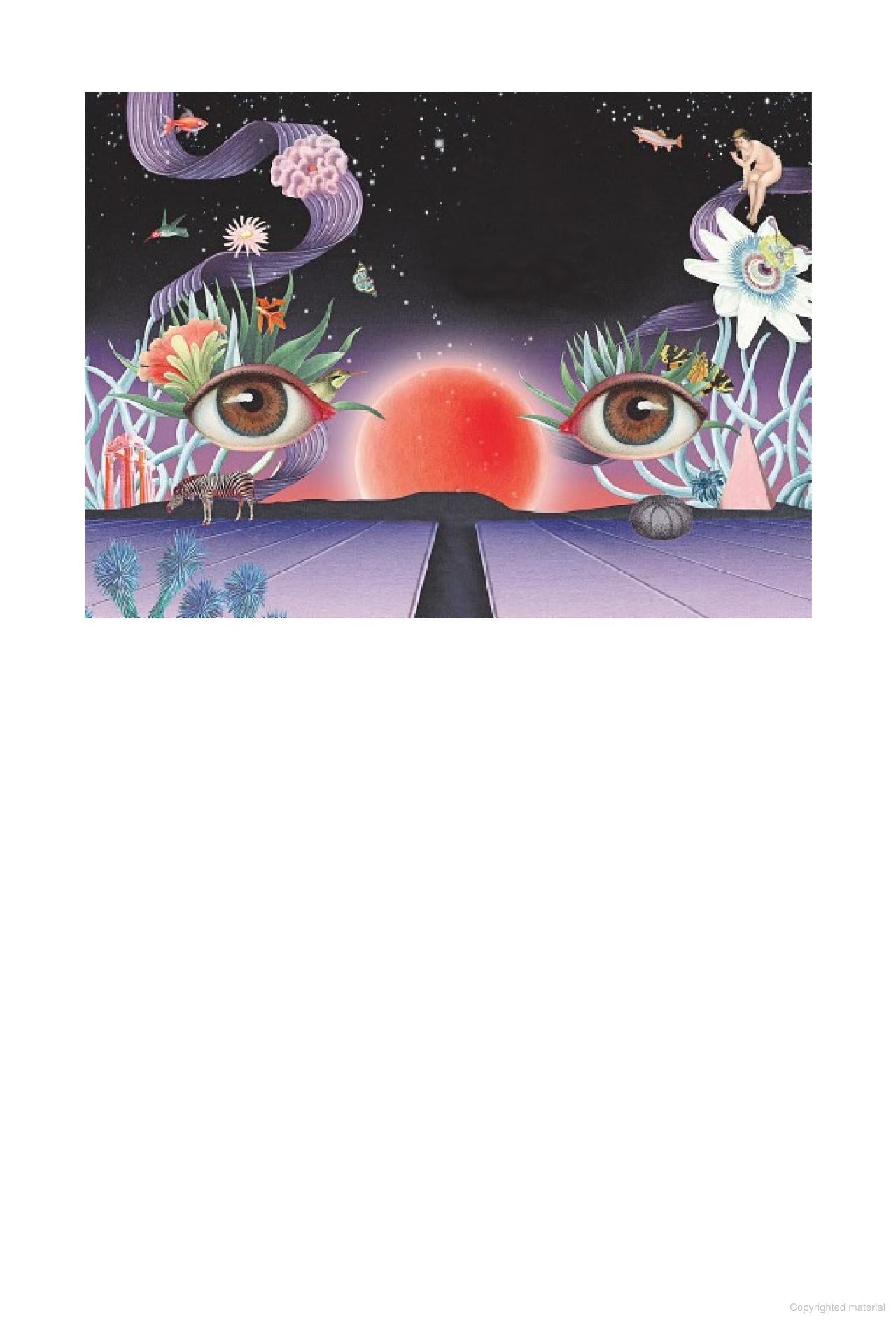 Night Vision A Field Guide to Your Dreams By Theresa Cheung