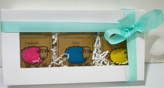 Felted Wool Soap Bar Tropical 3 Pack Gift Set