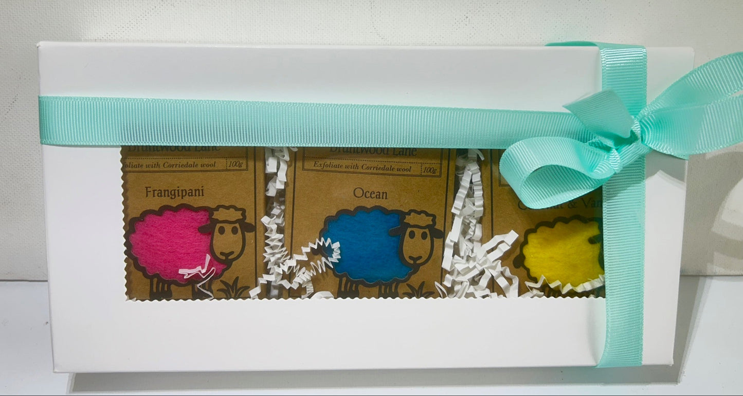 Felted Wool Soap Bar Tropical 3 Pack Gift Set