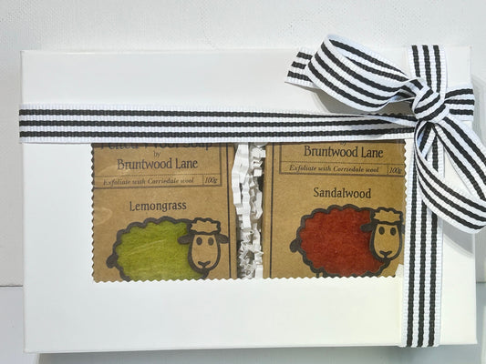 Felted Wool Soap Bar Workers 2 Pack Gift Set