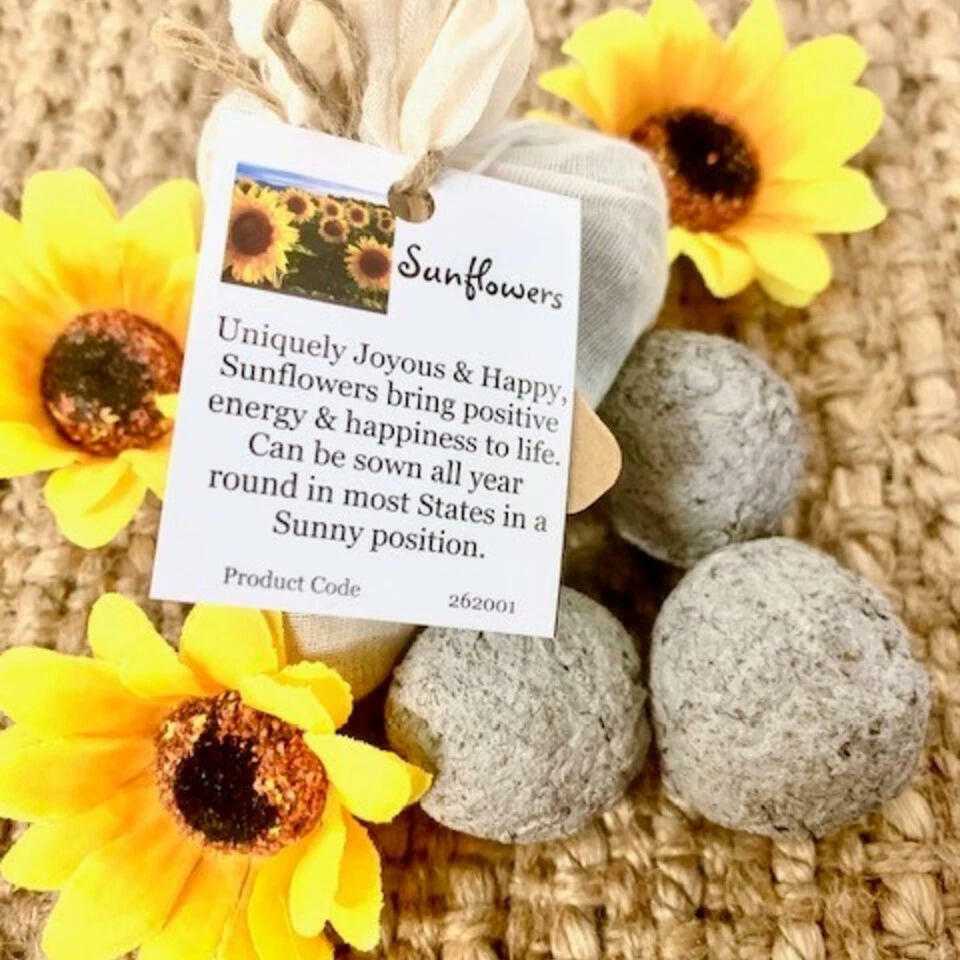 Seed Bomb Sunflowers