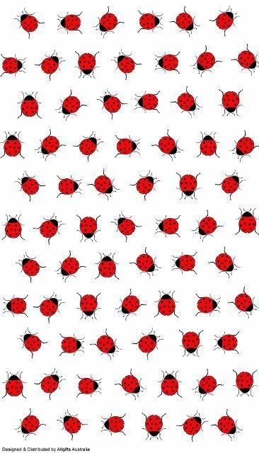 COTTON TEA TOWEL LADY BUG